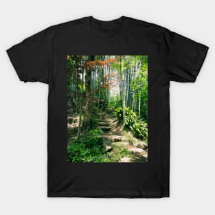 Steps in a Japanese Bamboo Forest T-Shirt